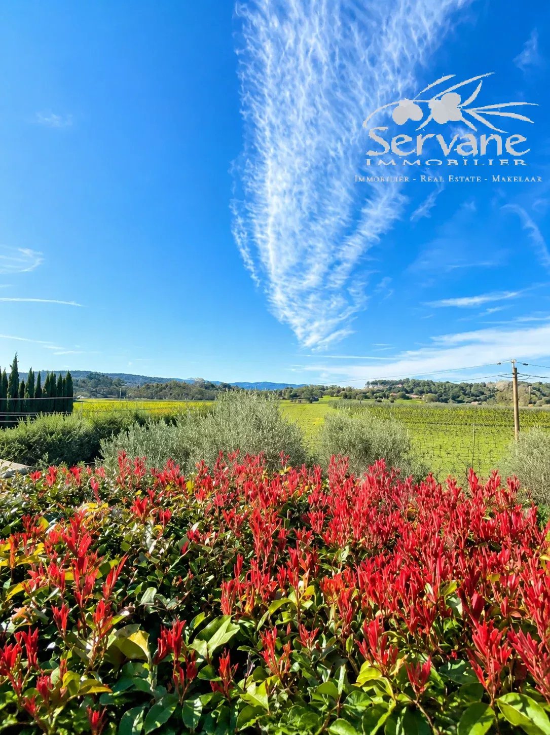 Lovely Cotignac house 4 beds, studio and pool