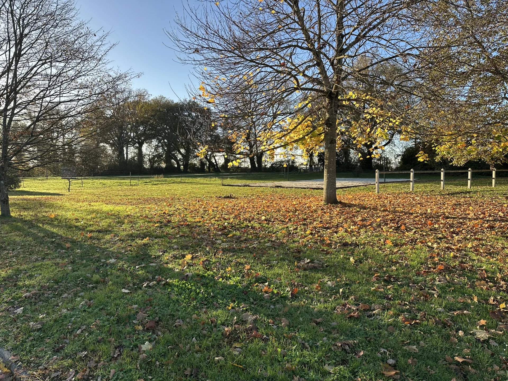 Vente Propriété La Ferrière-Airoux