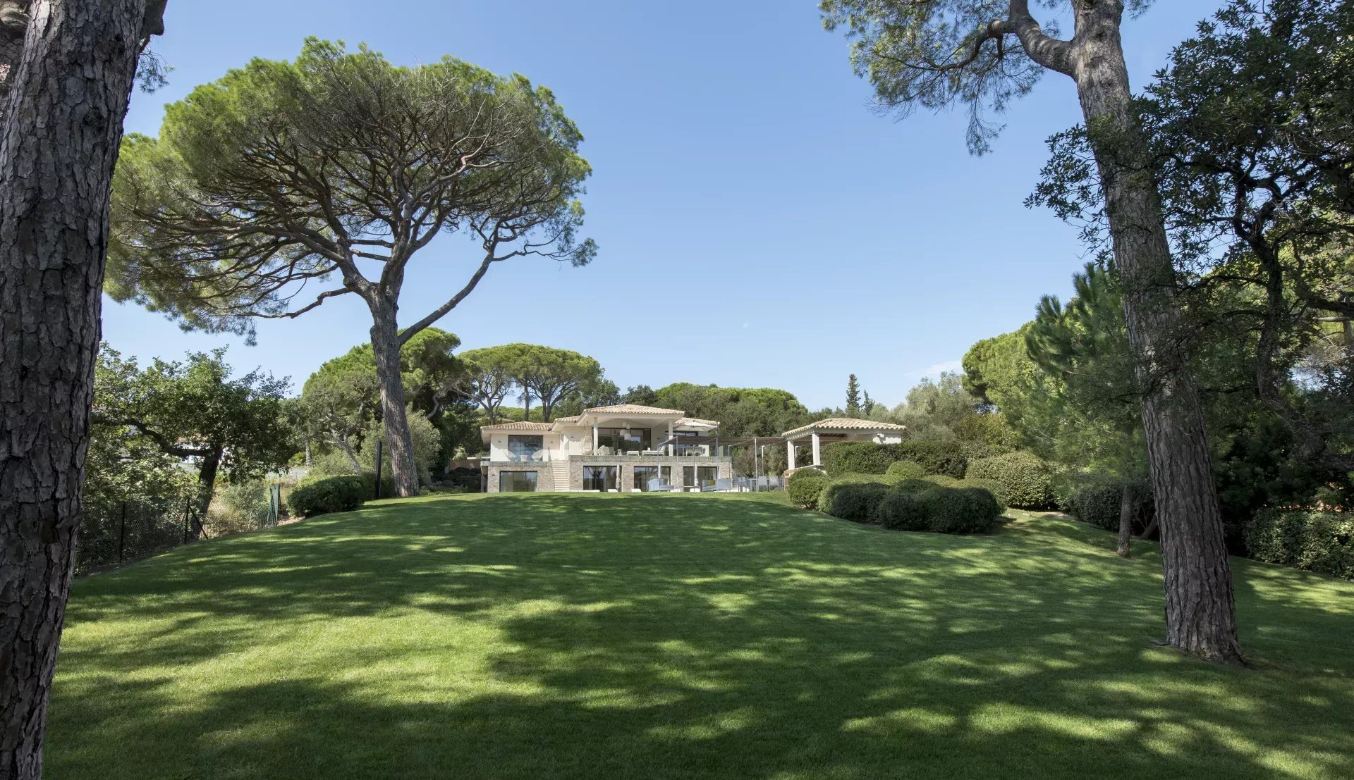 Ramatuelle - Vue sur les jardins, Pins pignons 