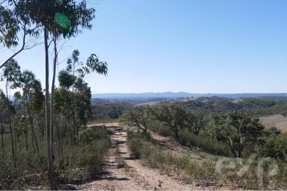 Exceptional 65-Hectare Estate in Alentejo with Tourism Development Potential 85506160 image 20
