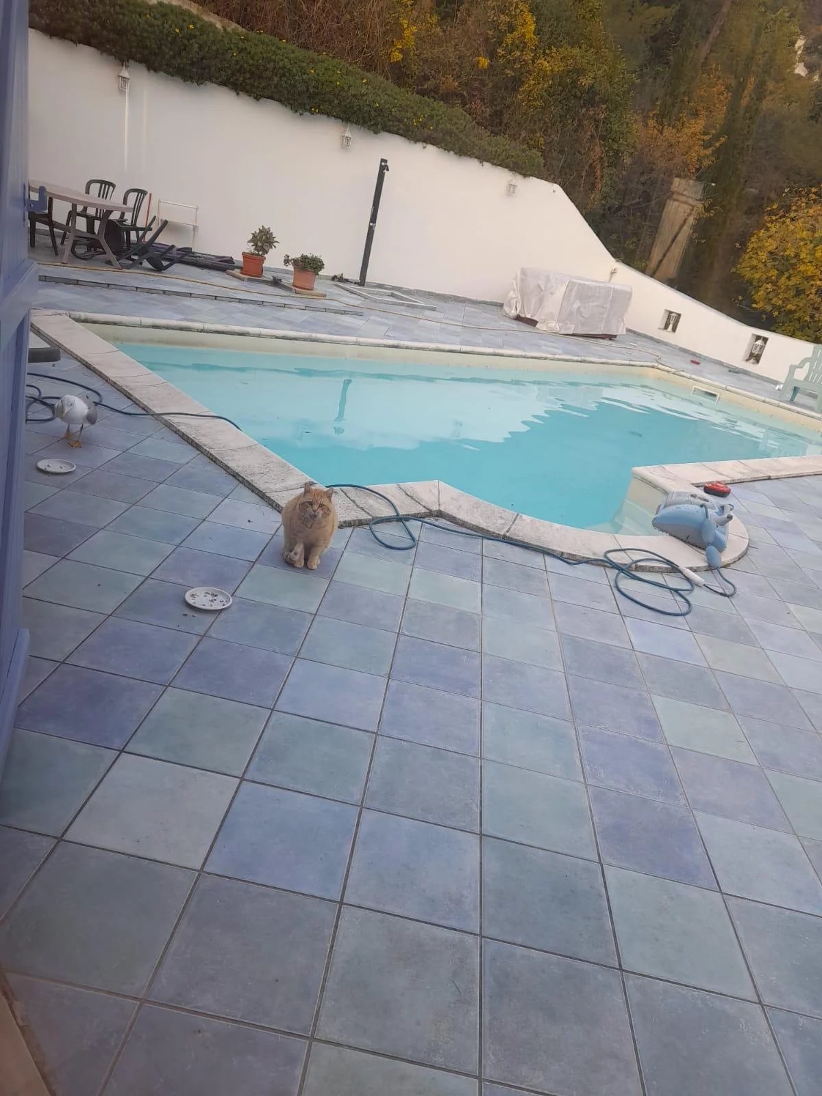 Vente Appartement Castellar