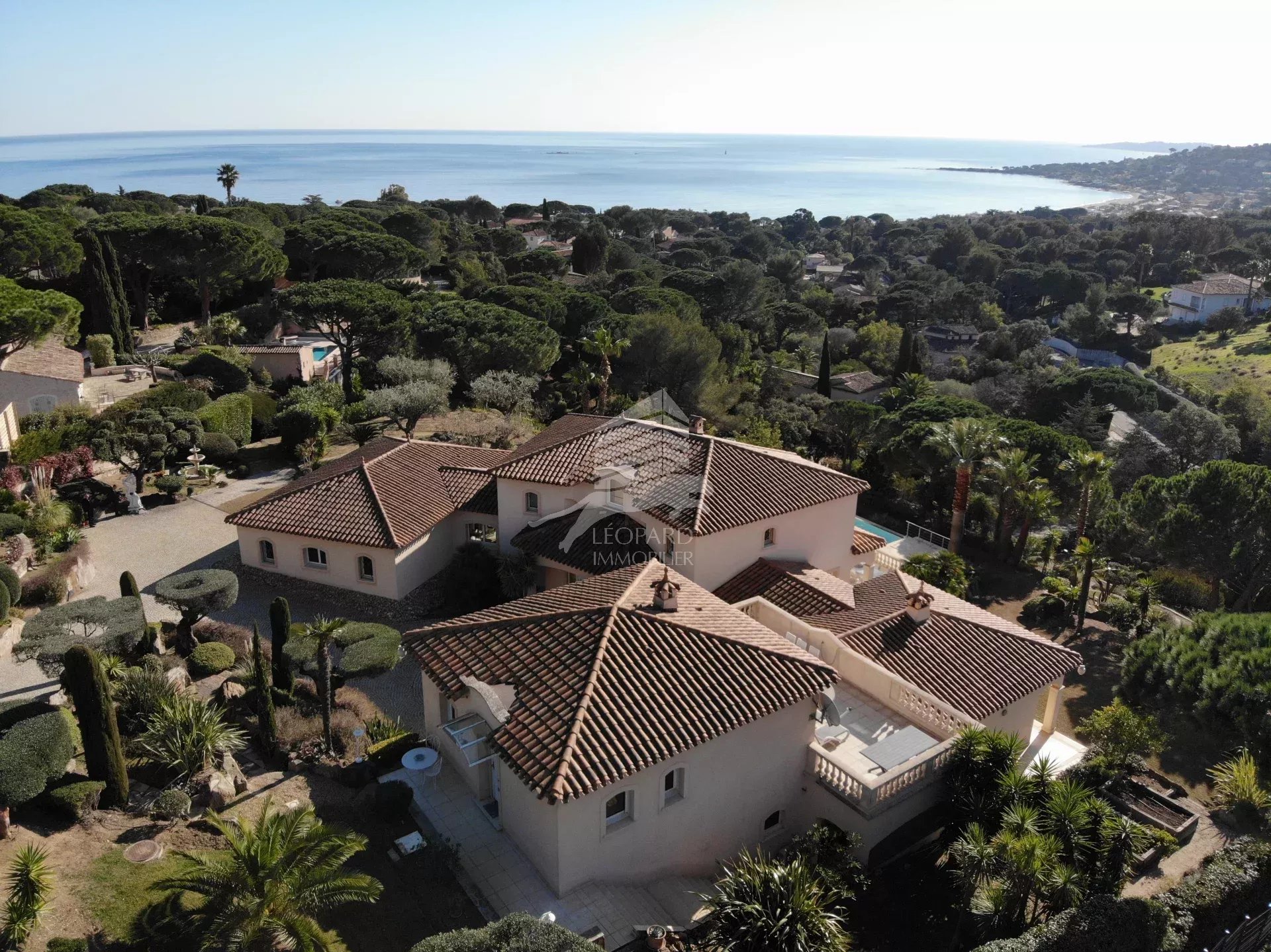 Agence immobilière de 