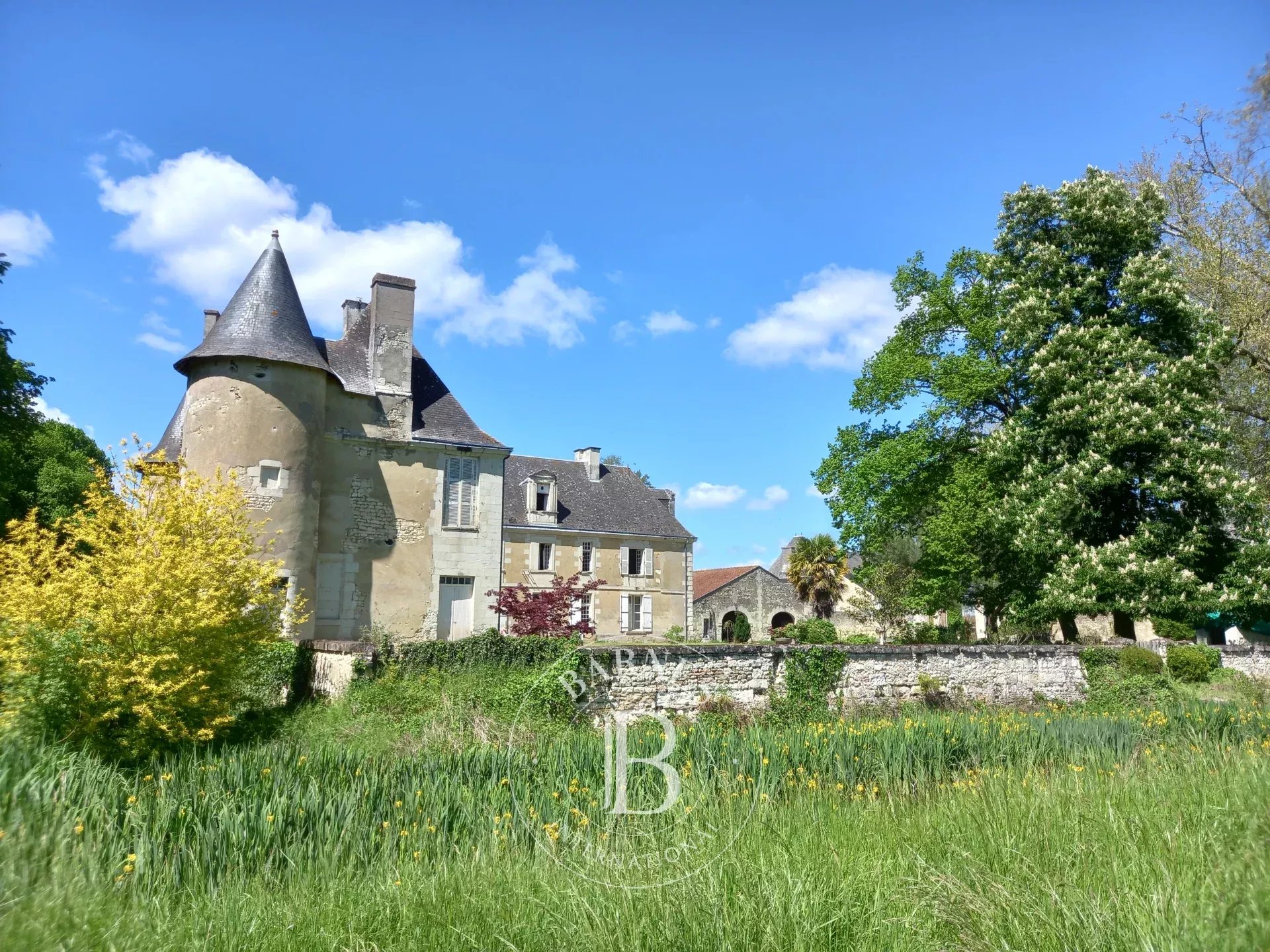 Châtellerault  - Château 18 Pi&egrave;ces 8 Chambres - picture 17