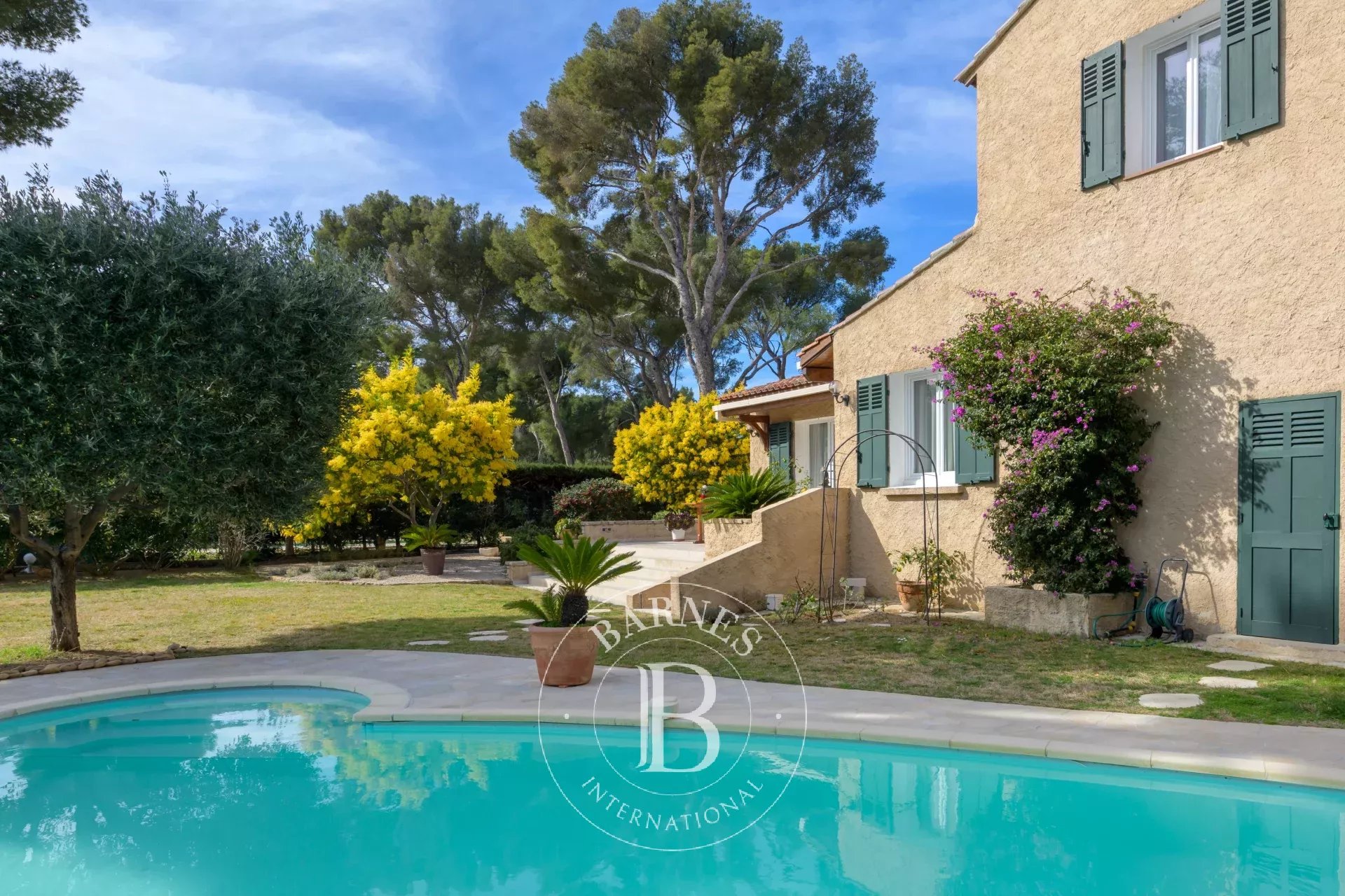 Villa Cassis - picture 4