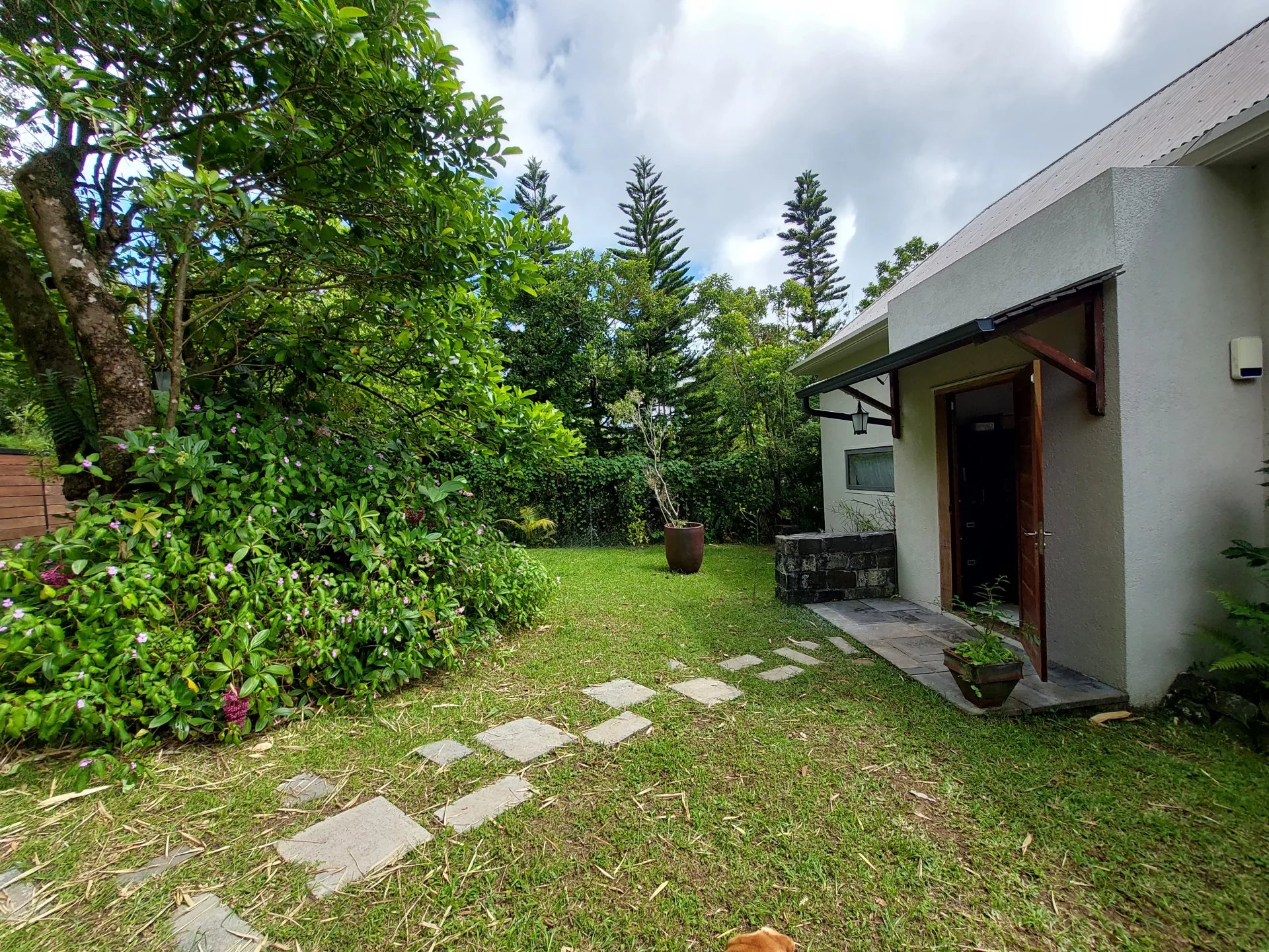 Ev Curepipe - picture 25