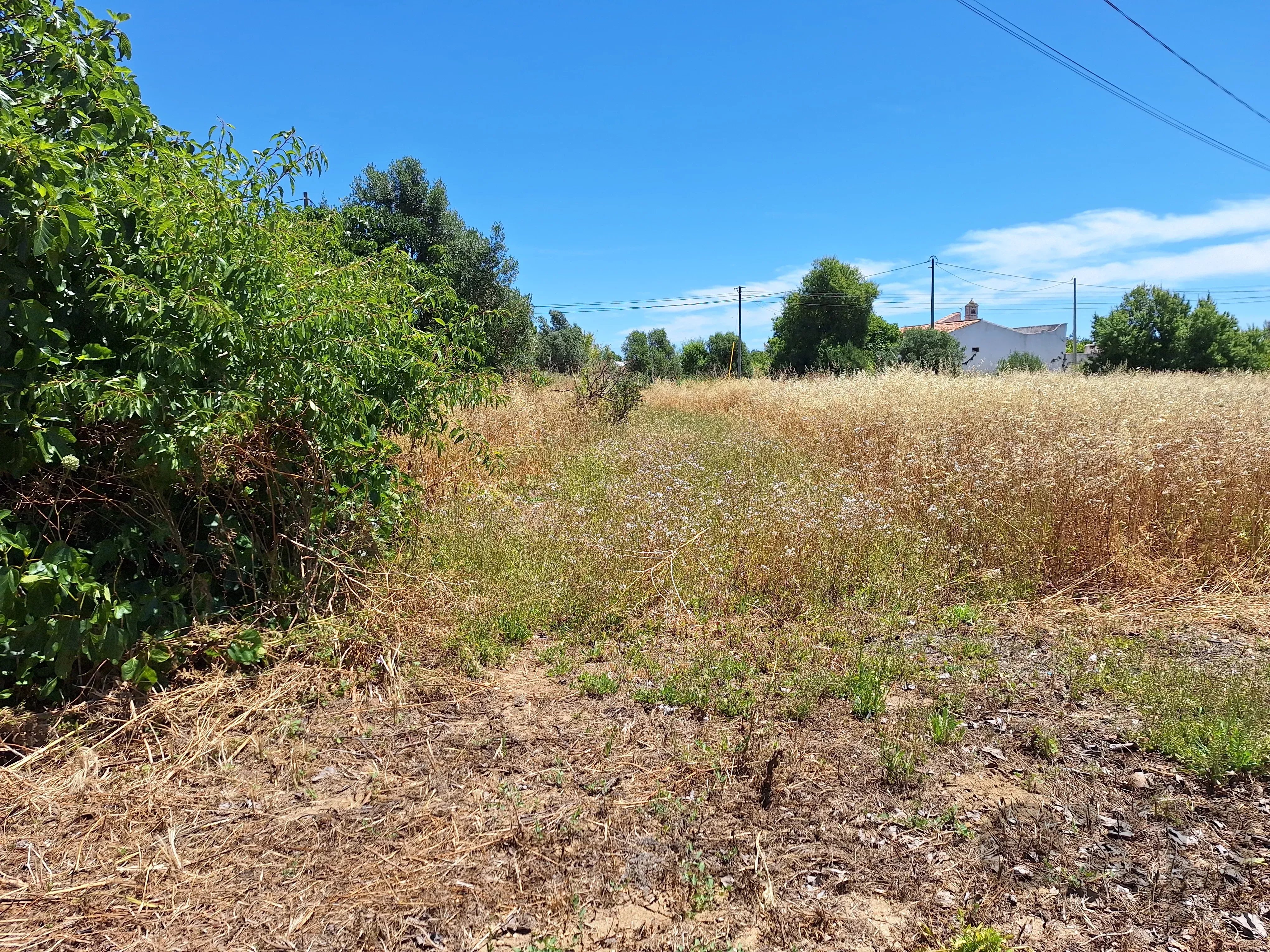Rustic Land in Mar e Guerra 87032942 image 5