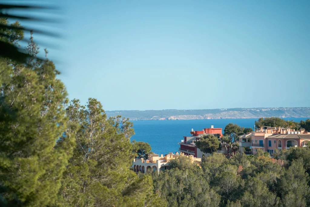 Sale Apartment Bendinat