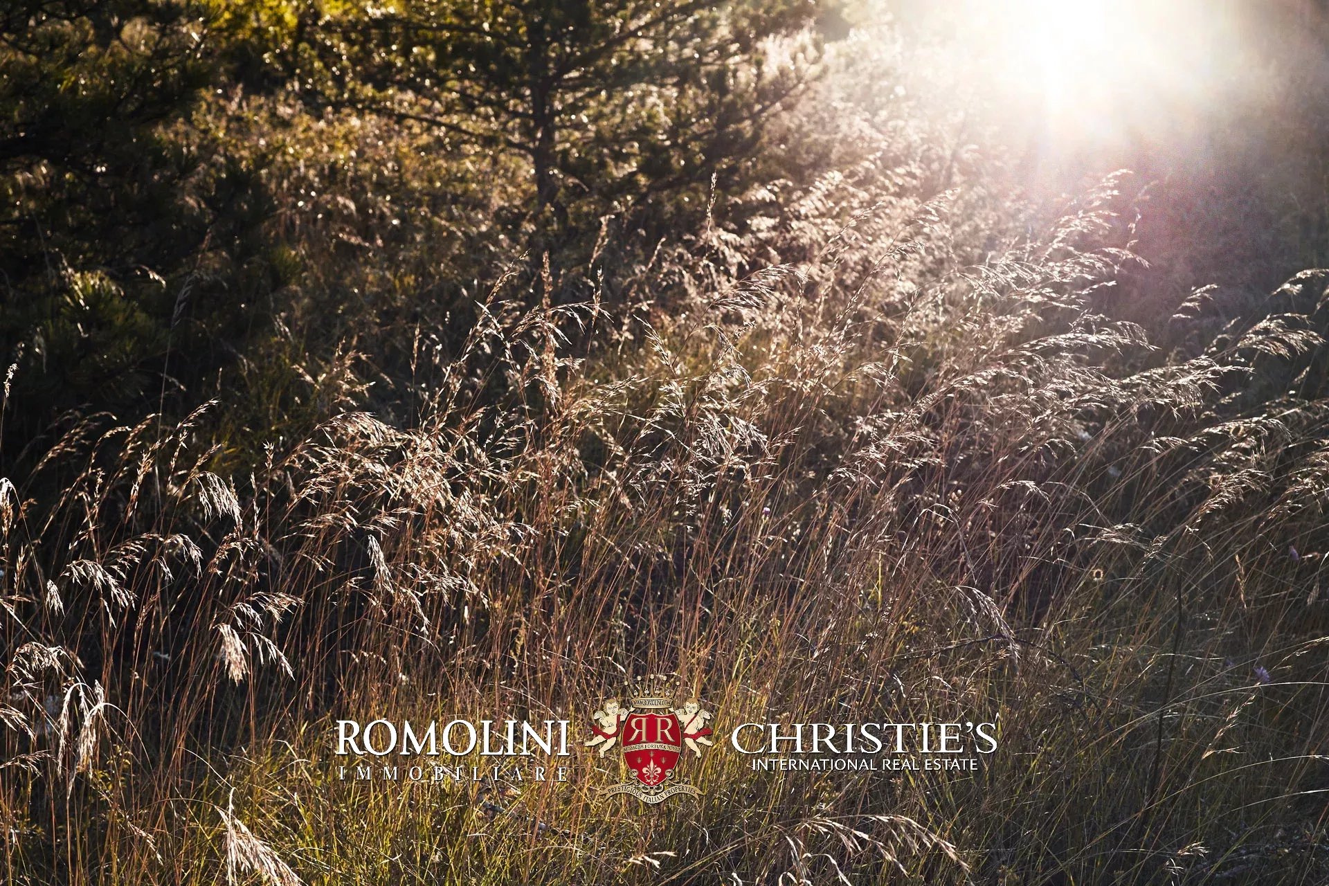 3 Bedroom Villa/Townhouse's Image 42