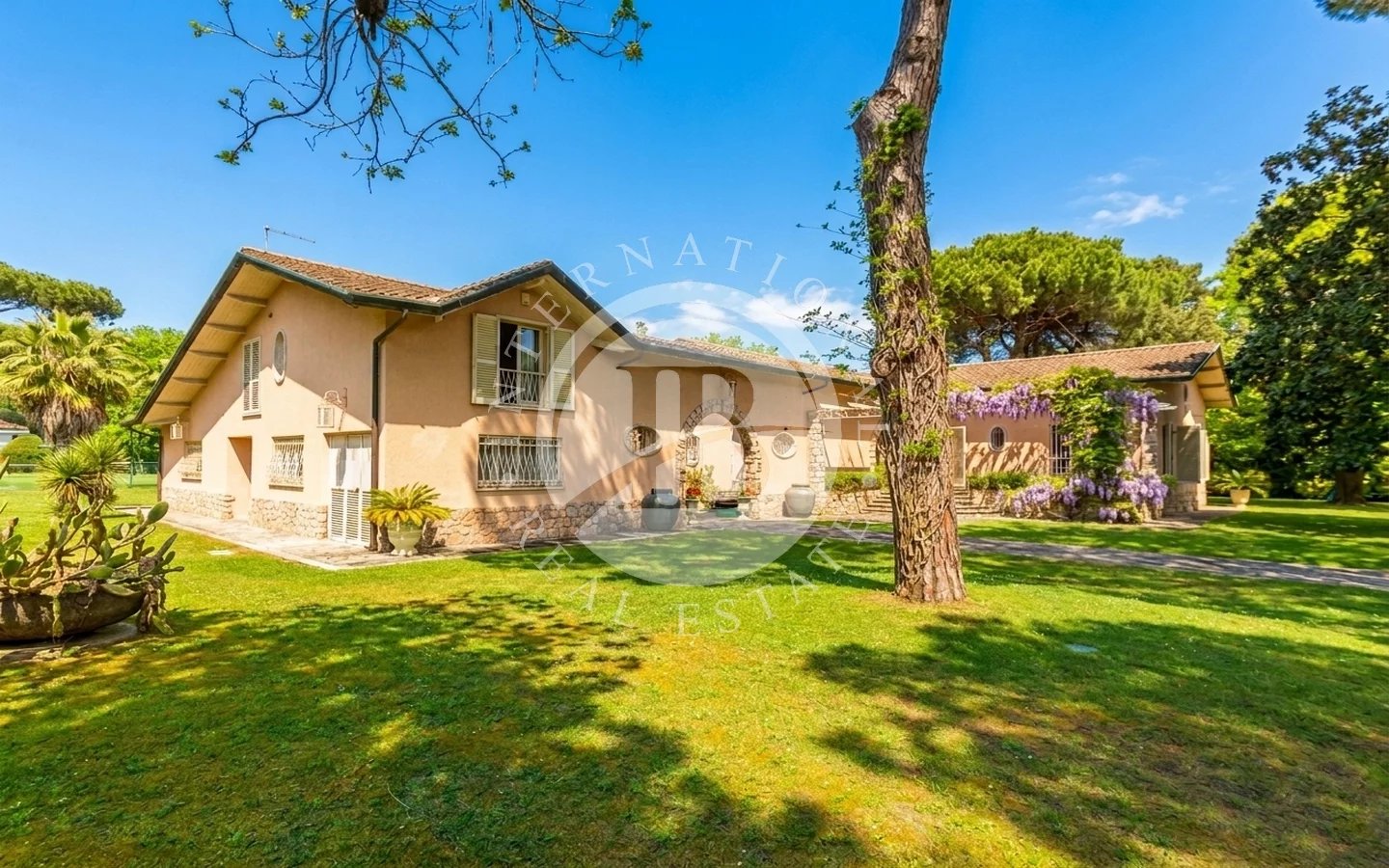 Villa in Massa - view 1