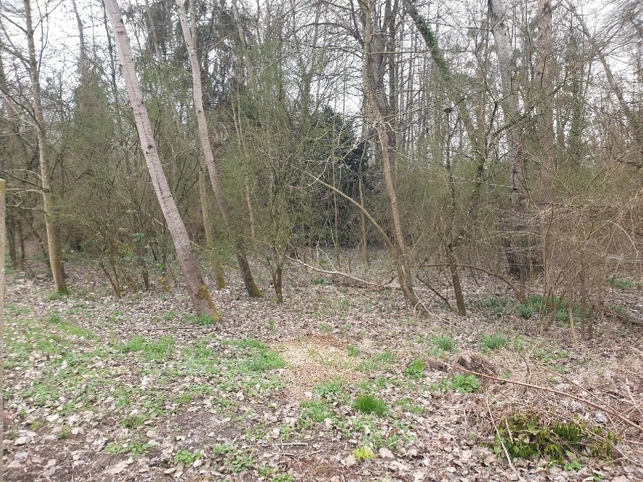 Vente Terrain Boulancourt