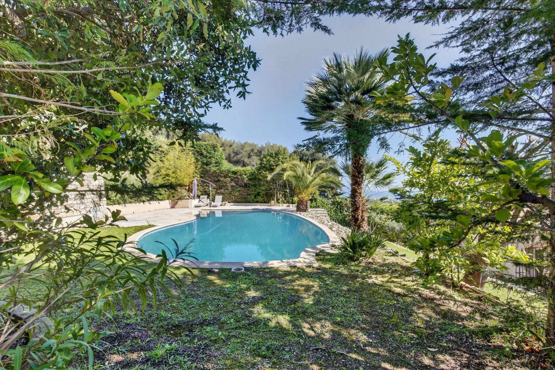property_image