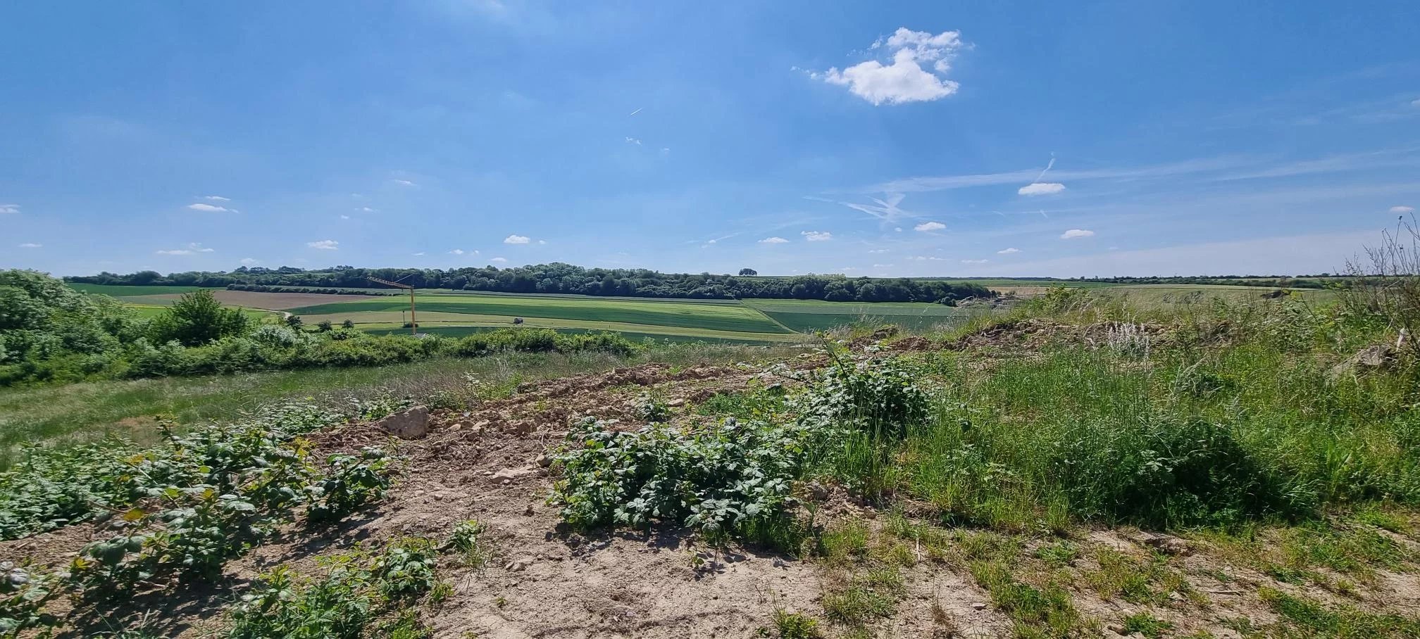 Ground in Wincheringen