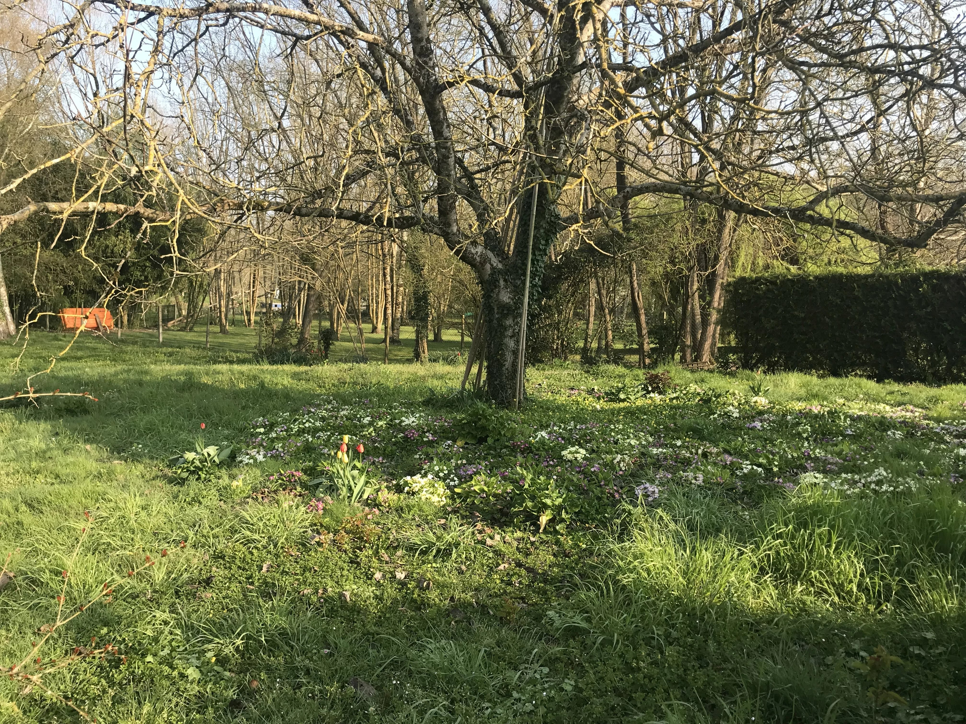 DISSAY Maison familiale avec accès au Clain – Cadre naturel privilégié