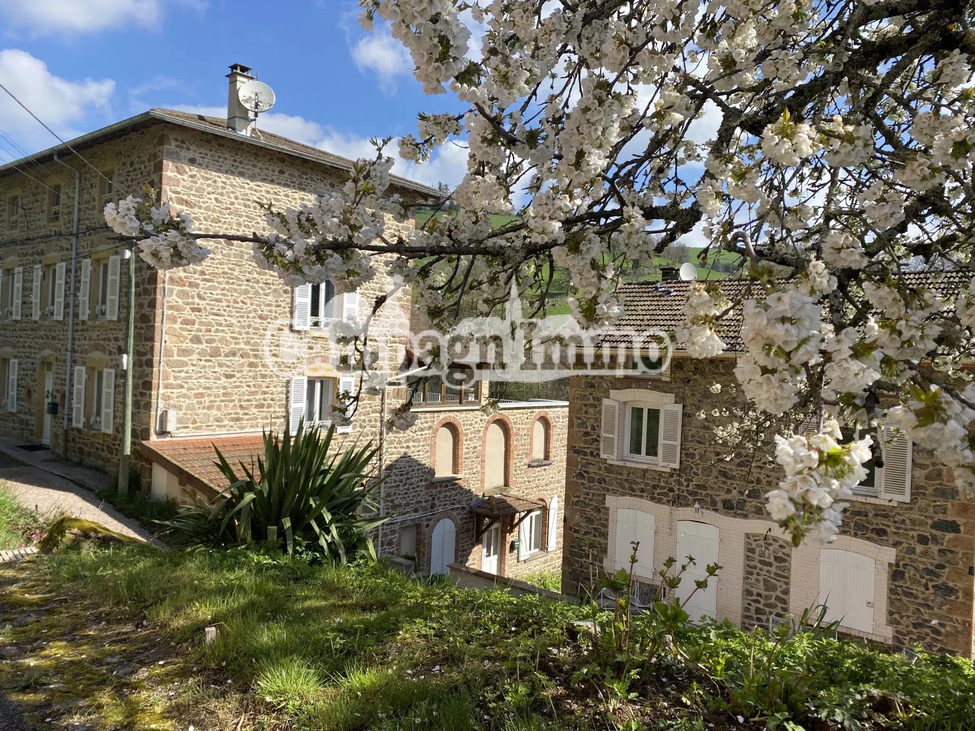 Agence immobilière de 