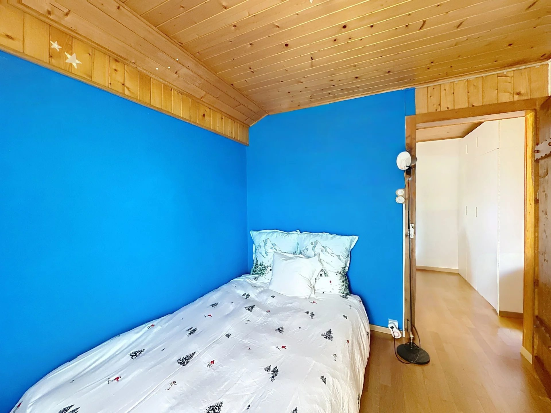 Vue panoramique sur le Mont-Blanc et la Cime de l'Est