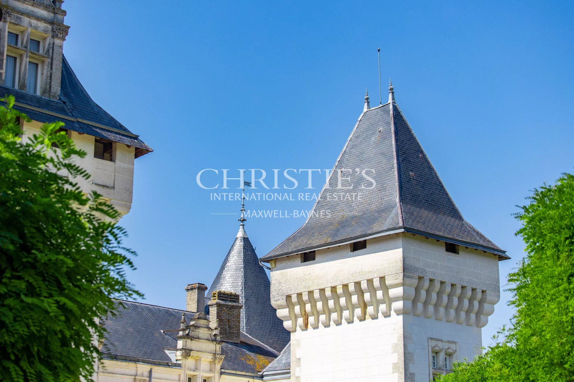 14 Bedroom Chateau's Image 49
