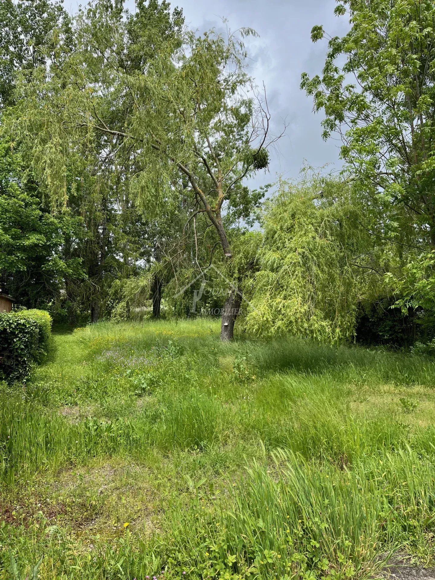 Agence immobilière de Jouan Immobilier