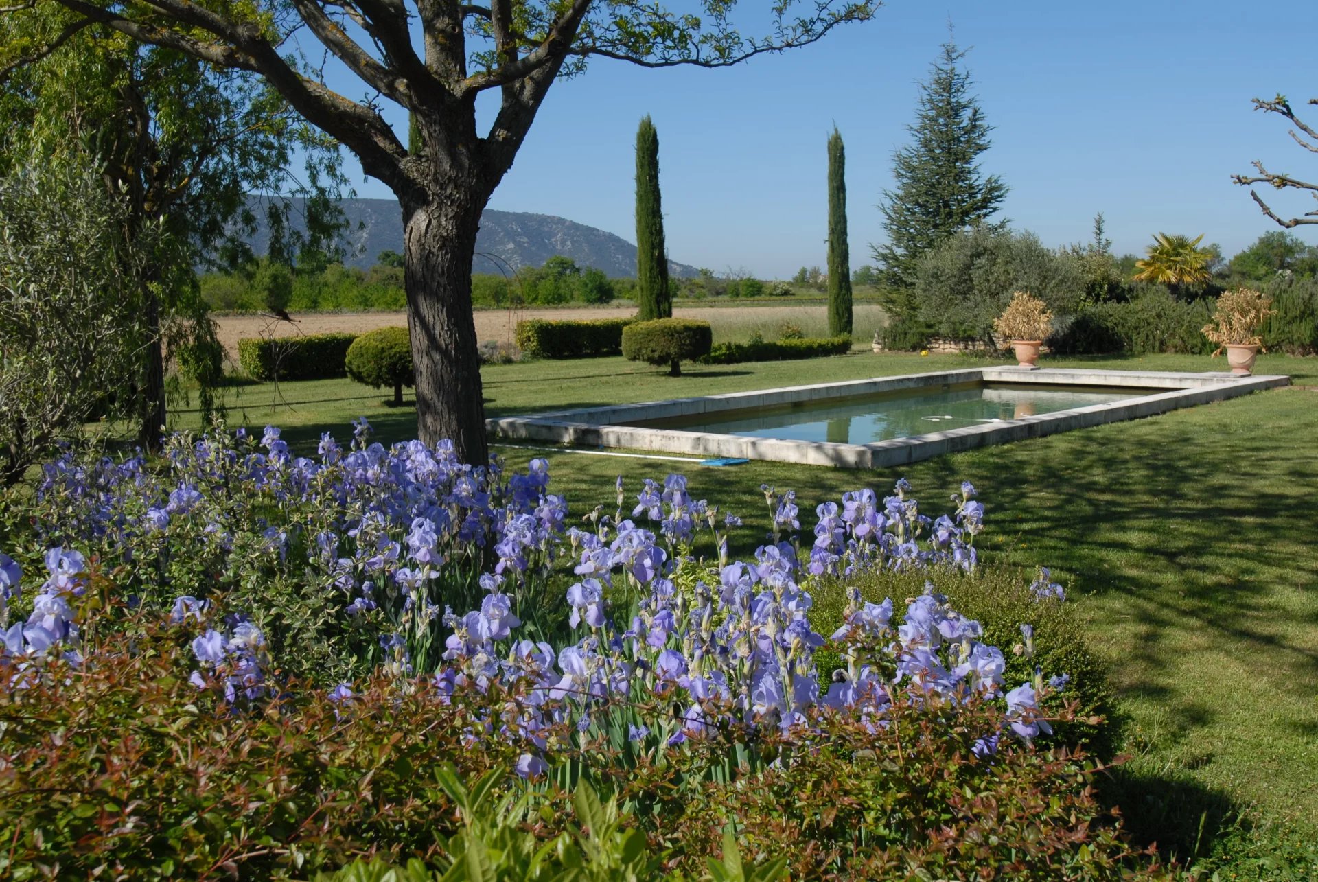 Sale House Cabrières-d'Avignon