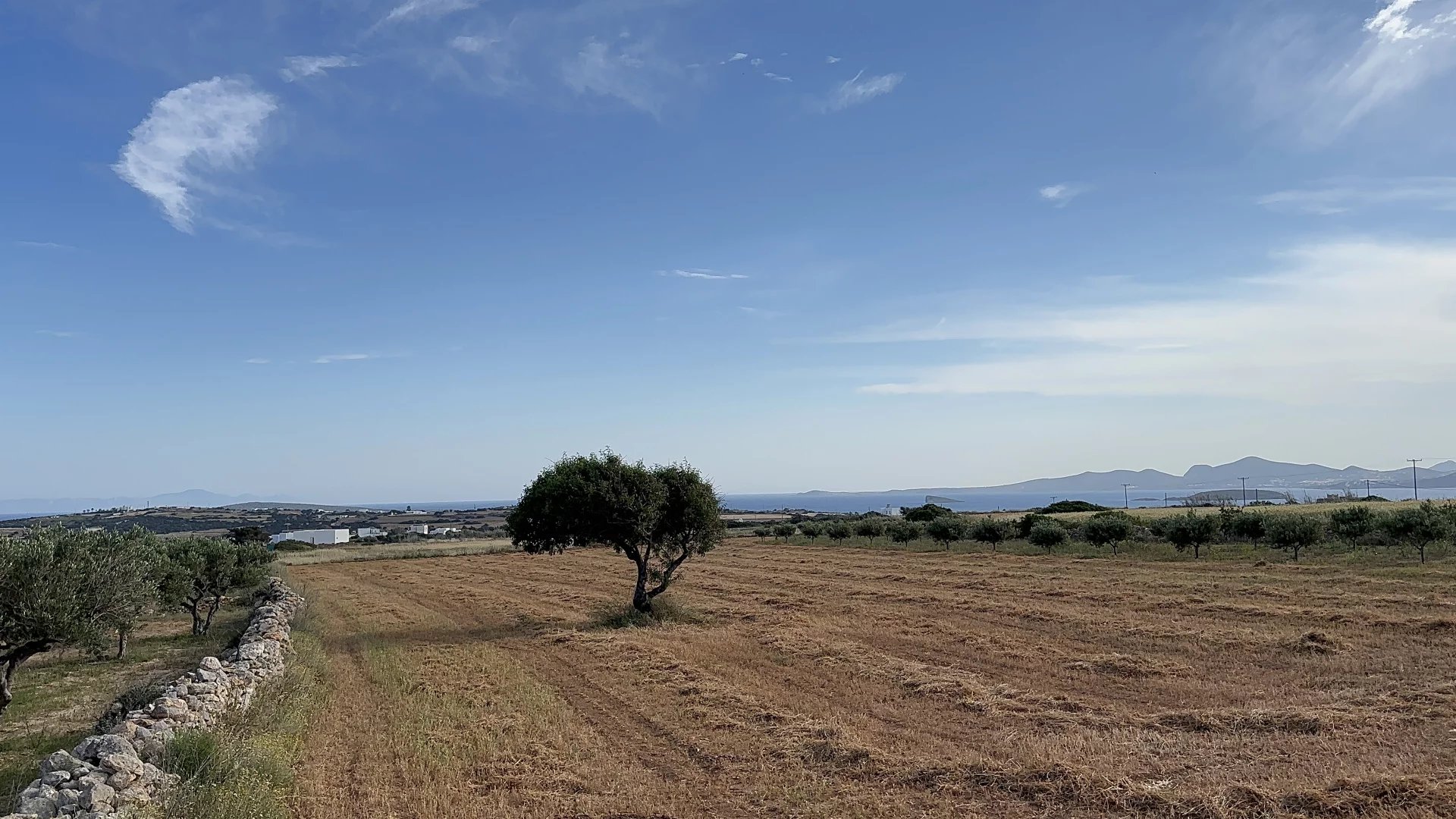 Εικόνα ιδιοκτησίας 9