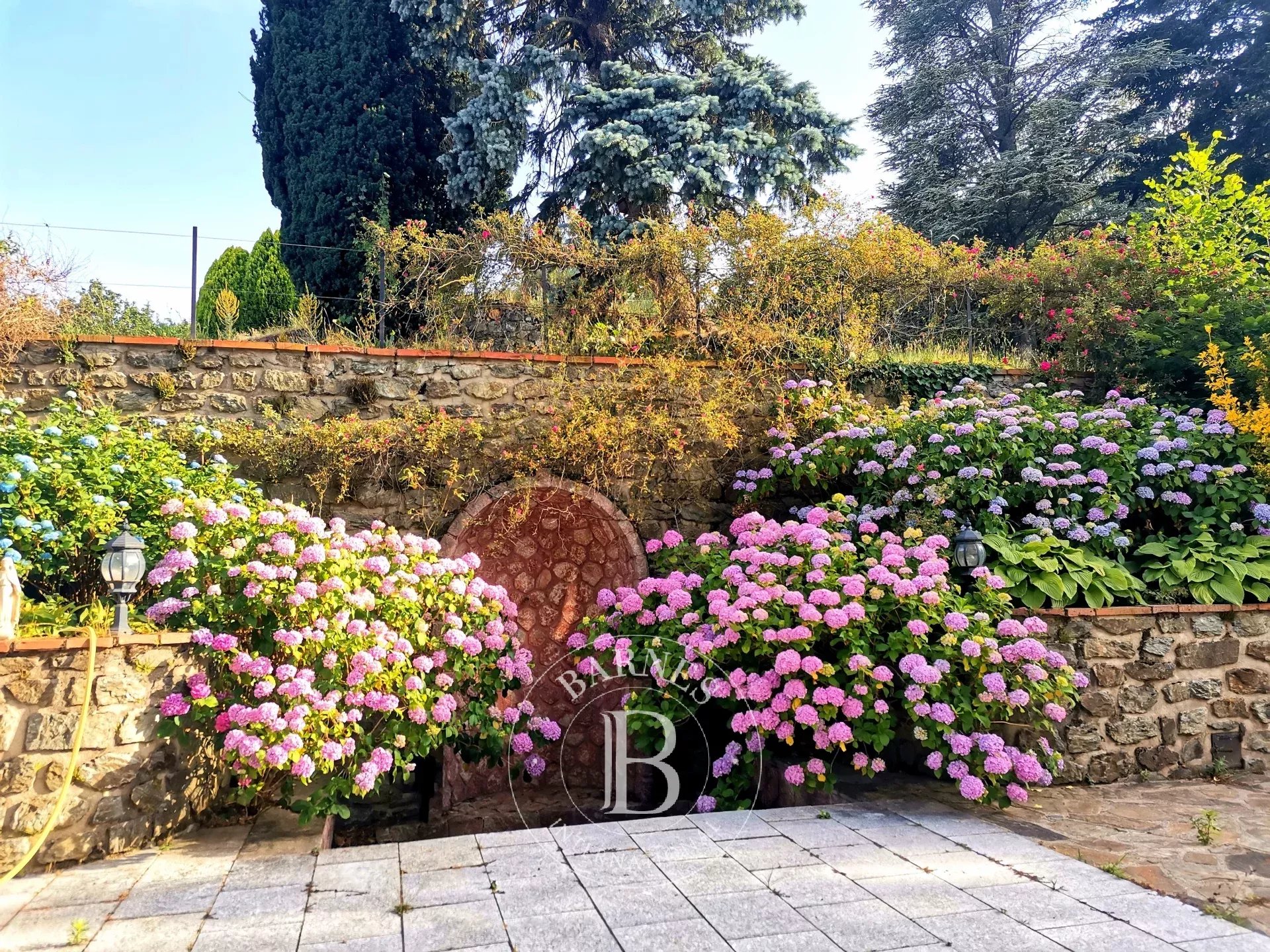 Mülkiyet Prats-de-Mollo-la-Preste - picture 16