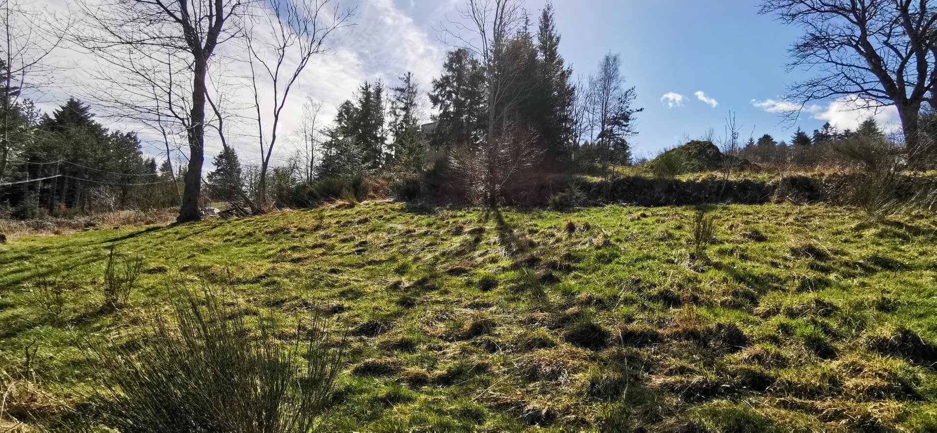 Vente Terrain constructible Saint-Jean-Soleymieux