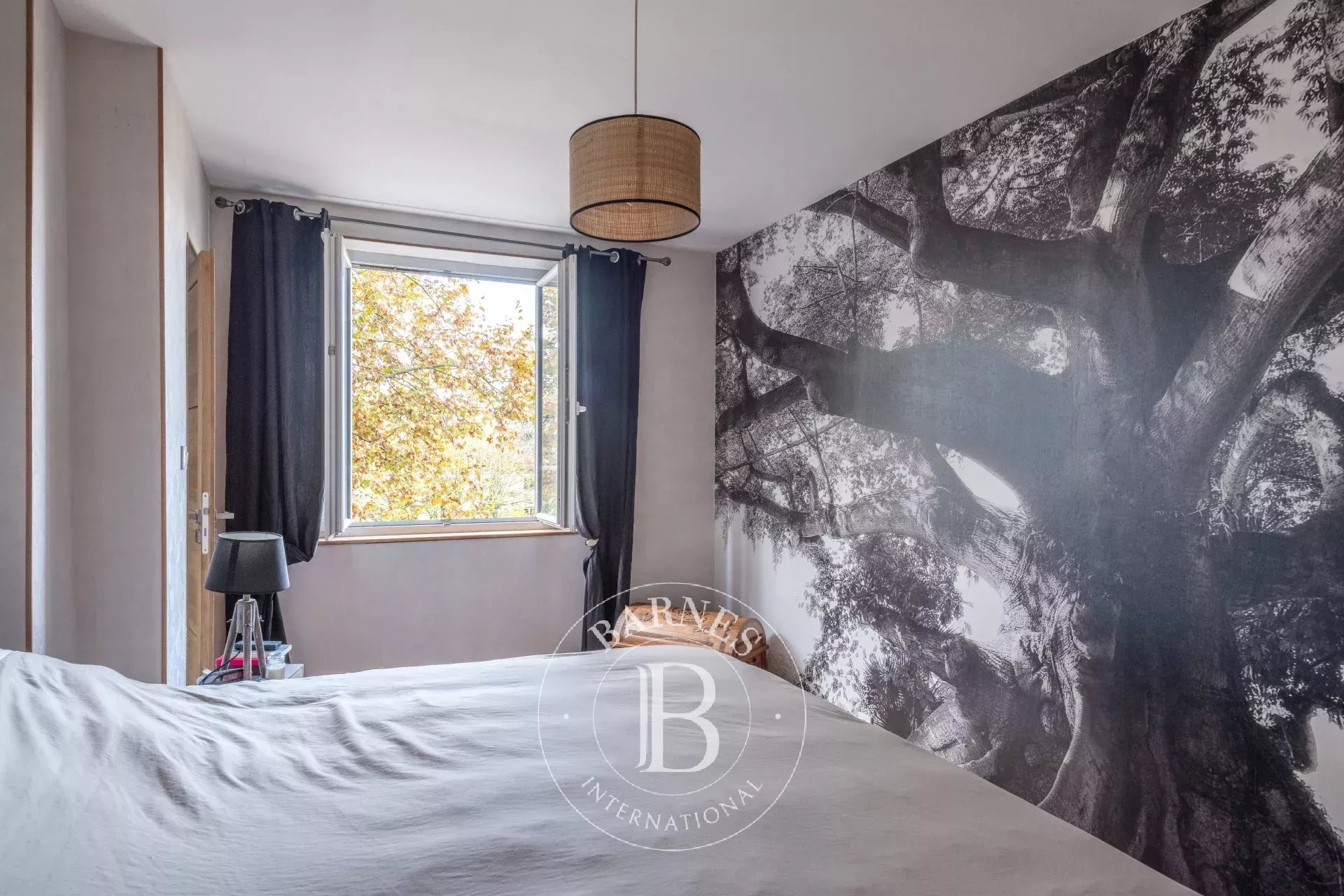 Daire Tassin-la-Demi-Lune - picture 8