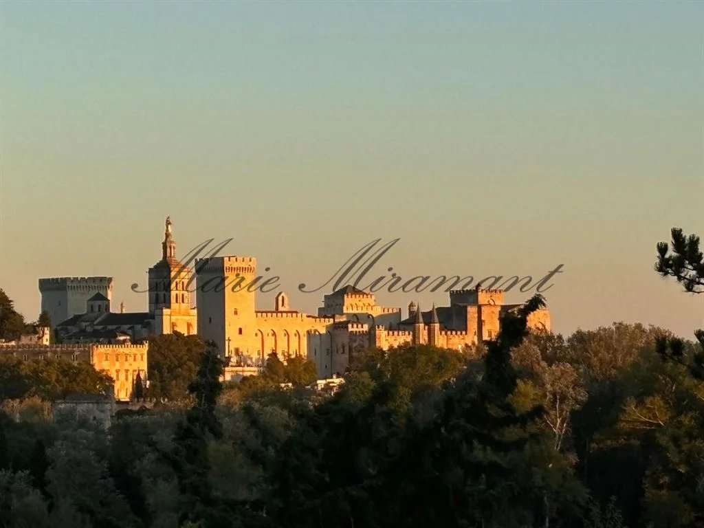 Villeneuve- lez- Avignon, maison atypique avec vue, terrasse et