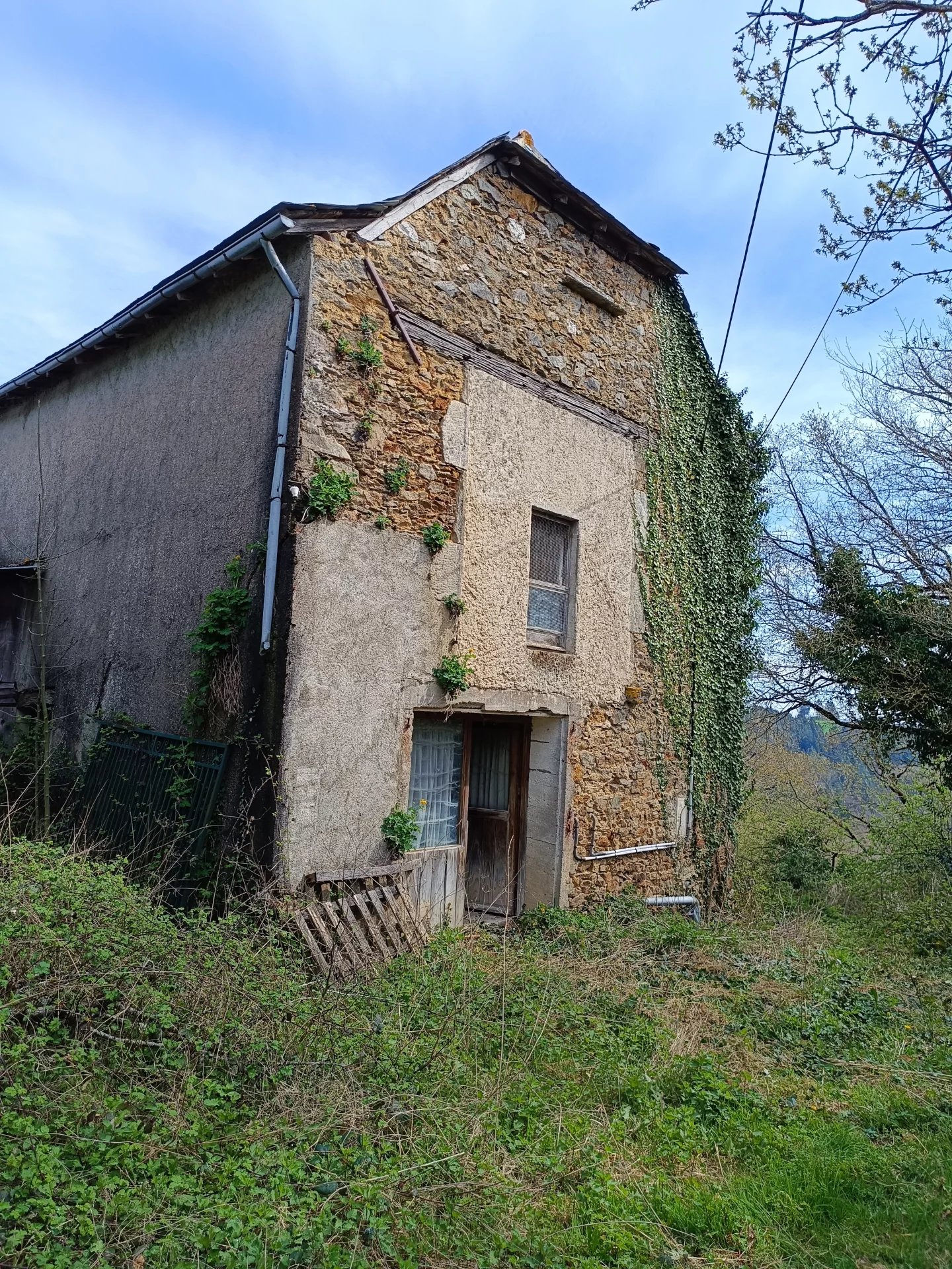 Agence immobilière de CAUMES DAVID