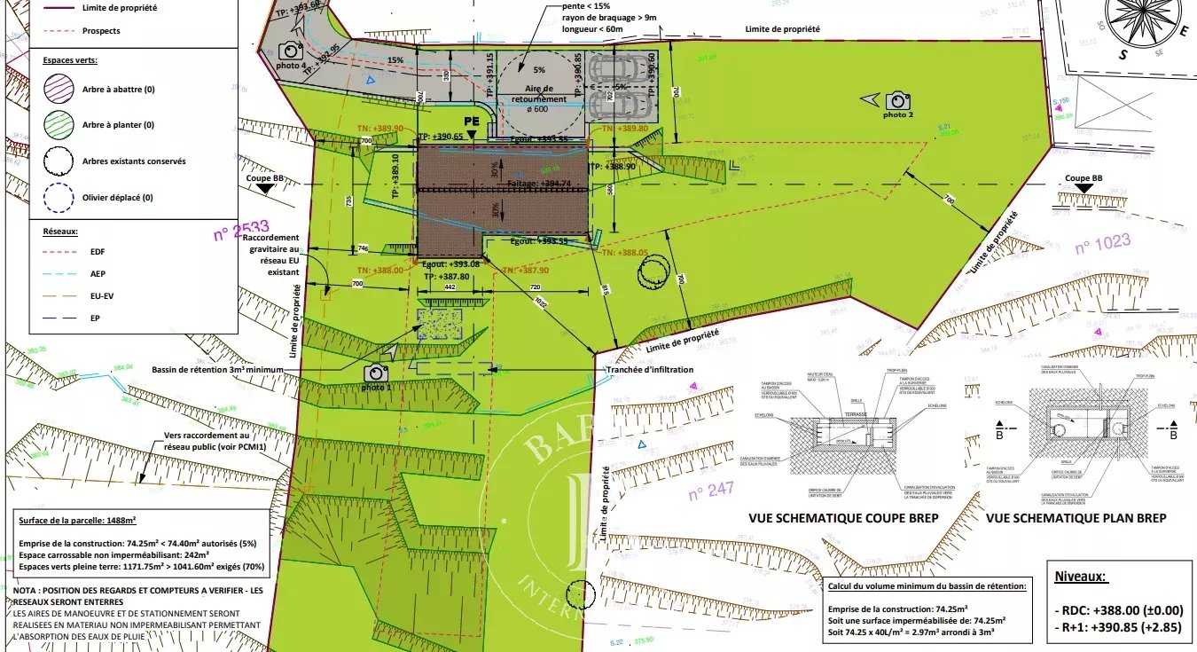 Arazi Cabris - picture 4