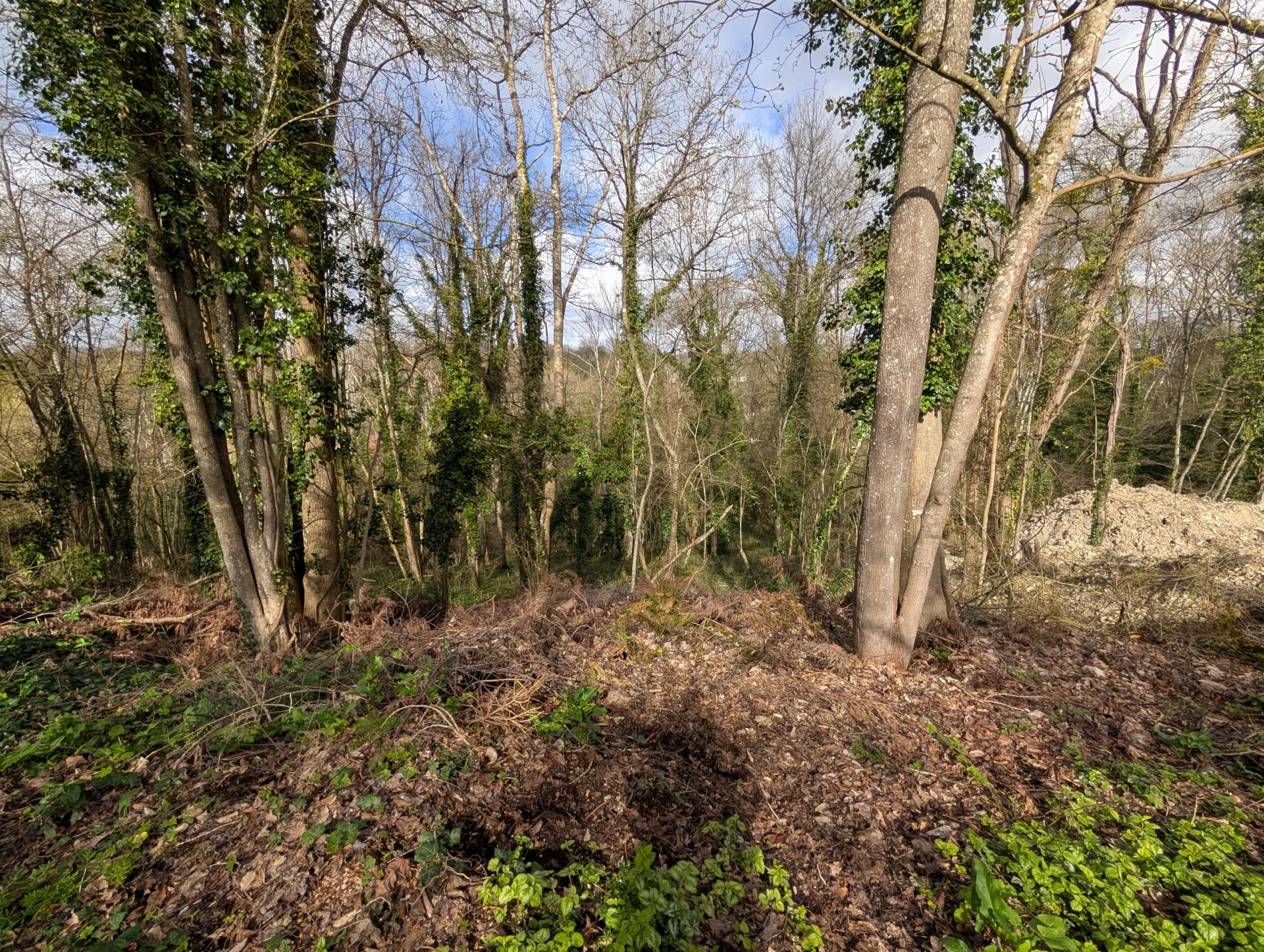 Agence immobilière de ETUDE IMMOBILIÈRE PHILIPPE LAMBERT