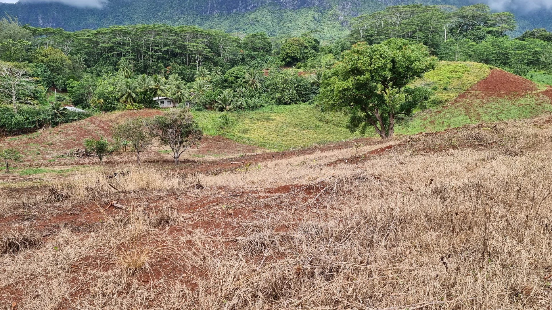 Vente Terrain Moorea-Maiao