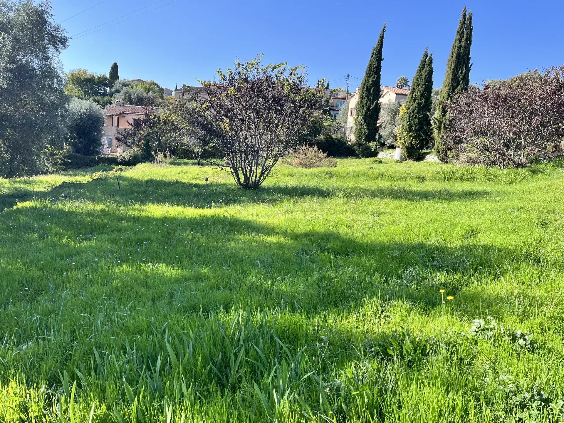 Vente Terrain constructible Grasse