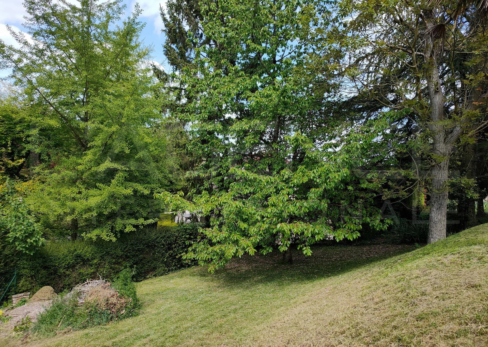 Image de la propriété 21