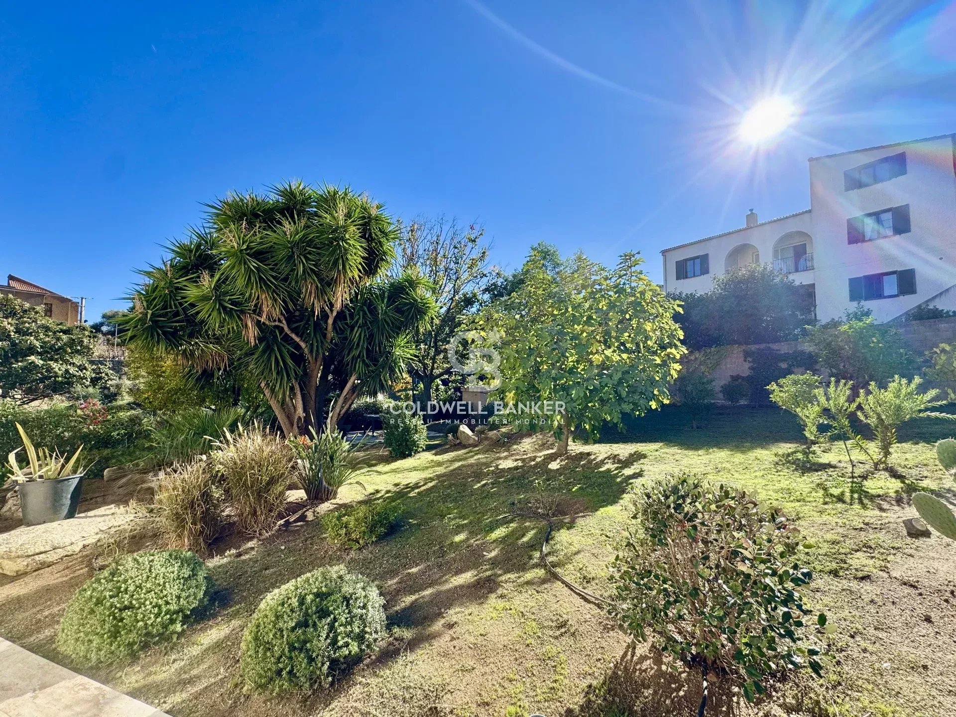 Agence immobilière de Coldwell Banker Allegrini Realty