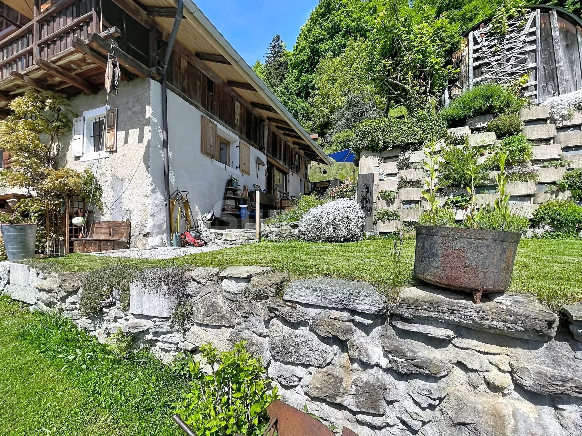 Photo 5