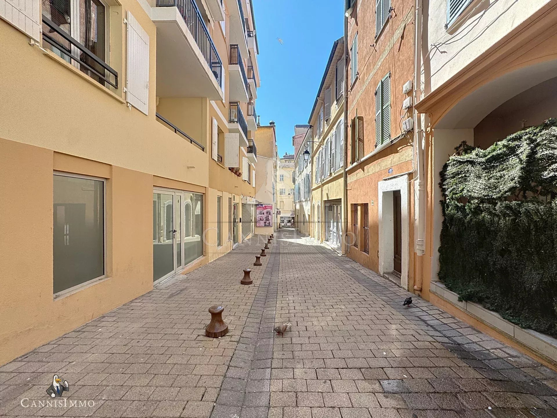Agence immobilière de CANNISIMMO