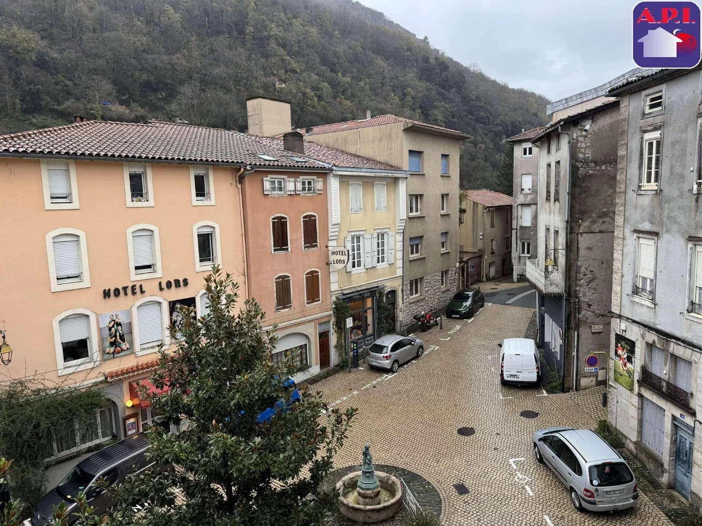 Vente Immeuble Foix