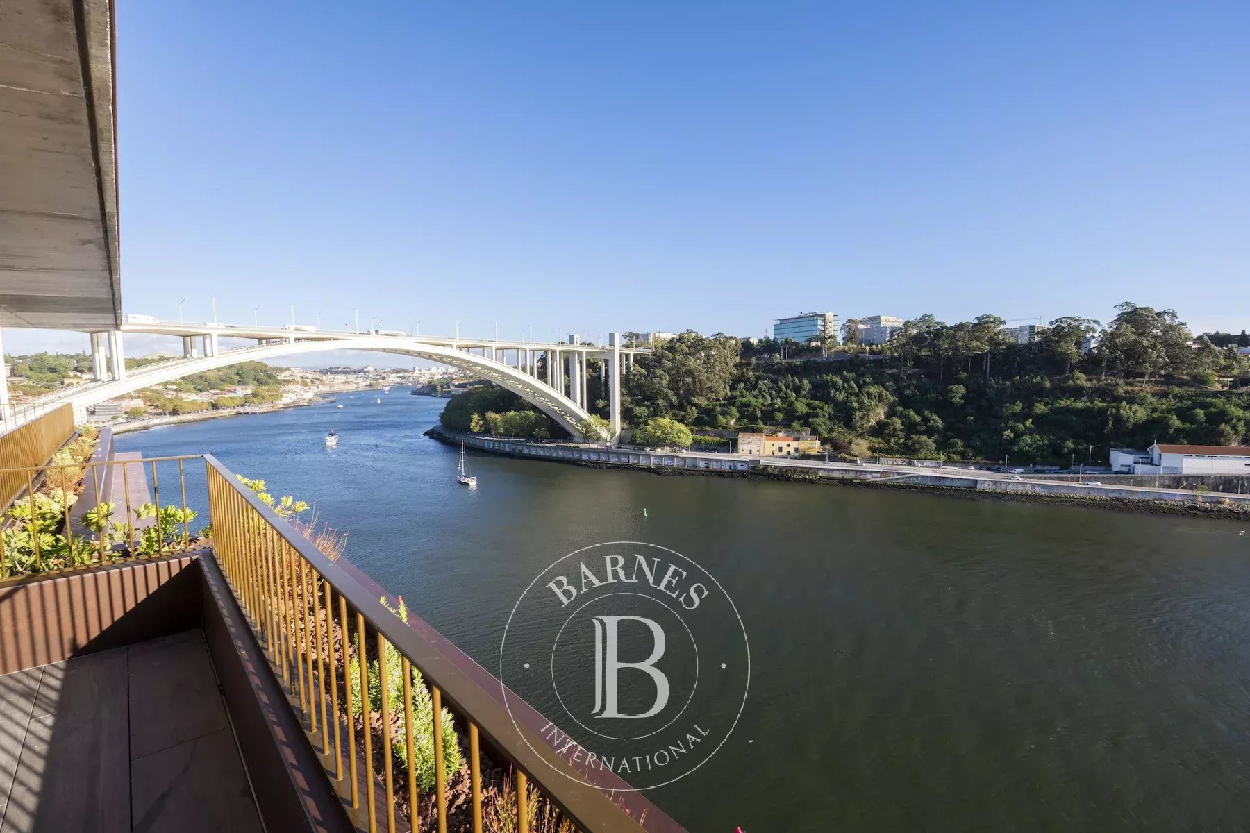 Vista Panorâmica para o Rio Douro