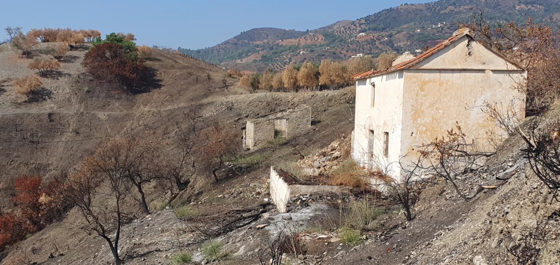 Vente Terrain Almuñecar
