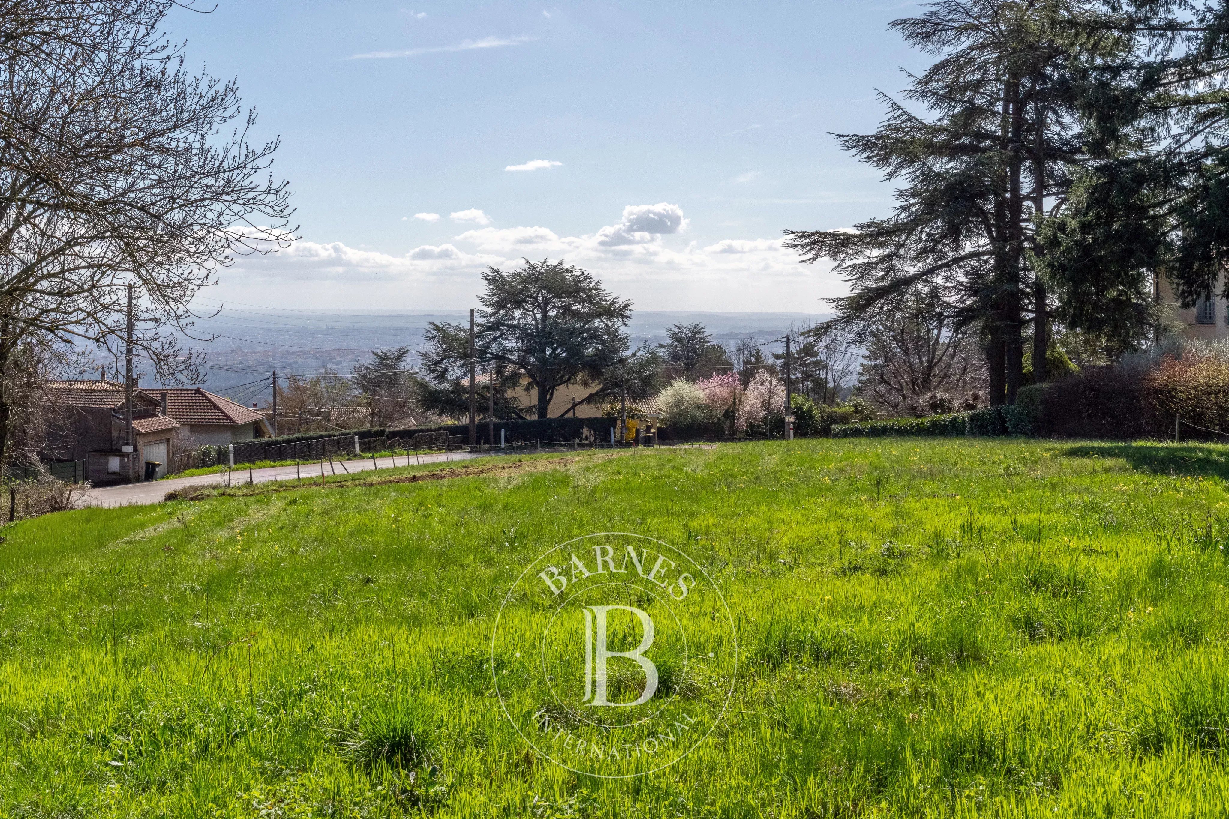 Terrain constructible Saint-Didier-au-Mont-d'Or  -  ref 86439038 (picture 1)