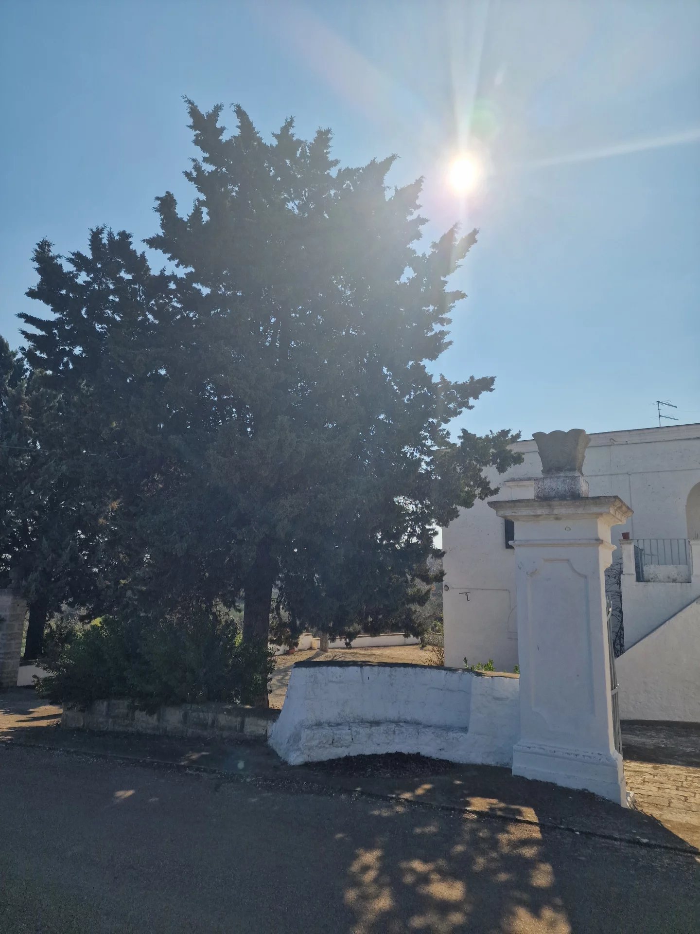 Sale Property Ostuni