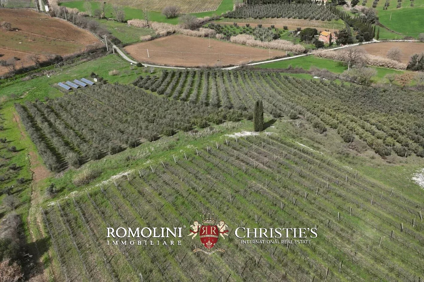 3 Bedroom Vineyard's Image 29