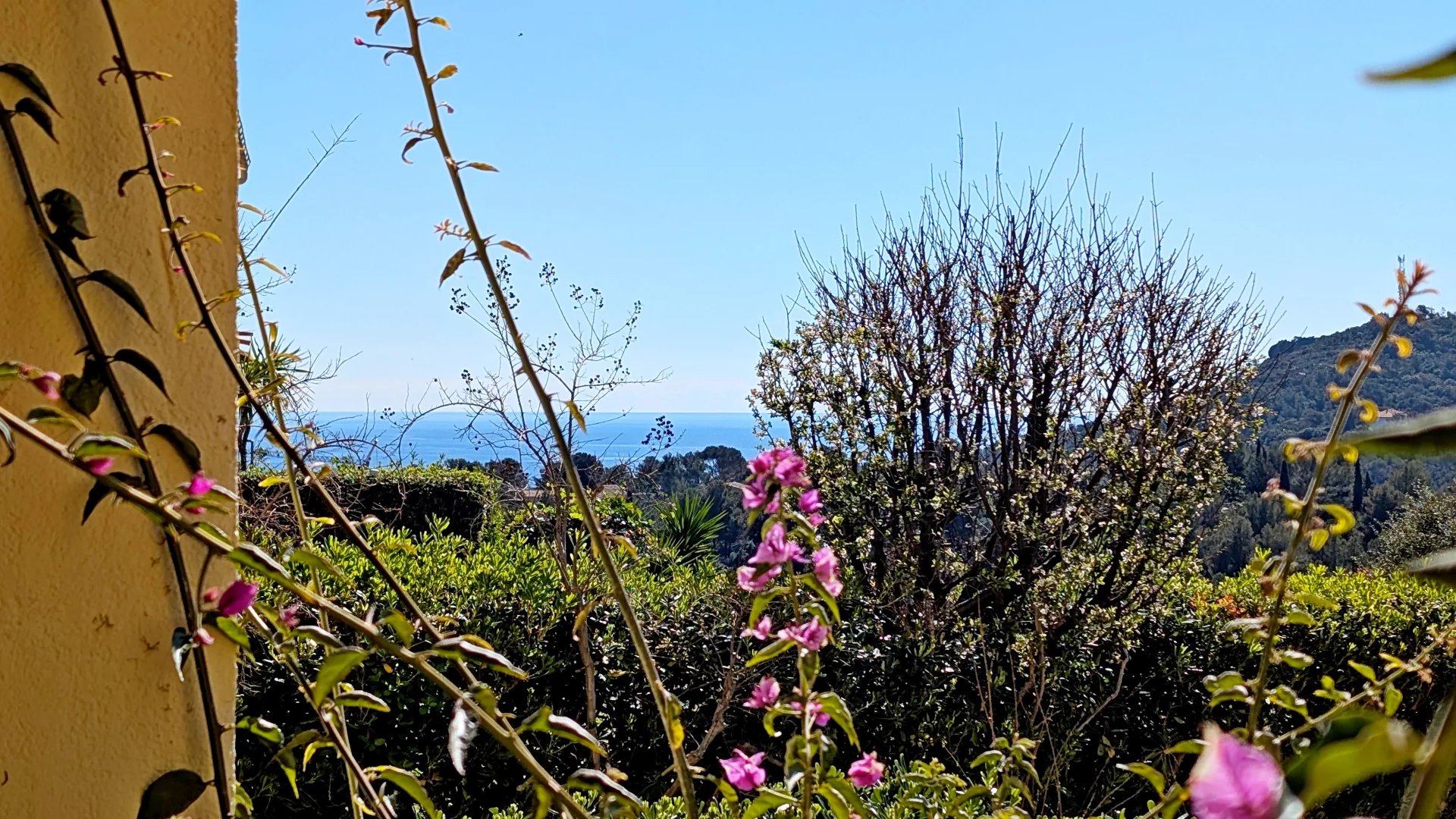 Agence immobilière de Azzurra Immobilier
