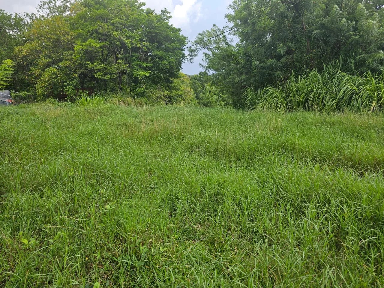 TERRAIN - 6 200 M² - LES TROIS ILETS