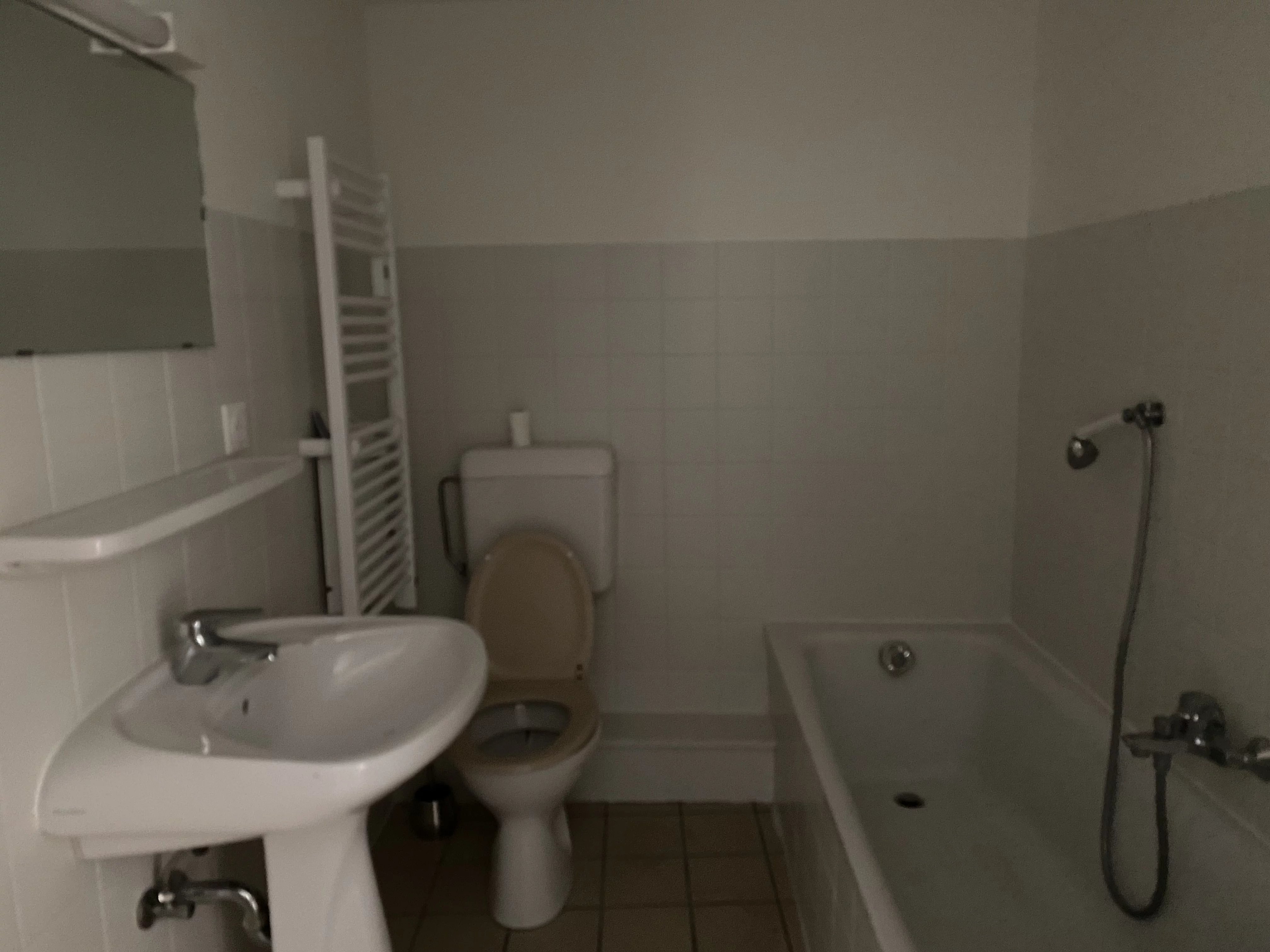 CENTRE VILLE APPARTEMENT UNE PIECE ALTKIRCH — photo 4