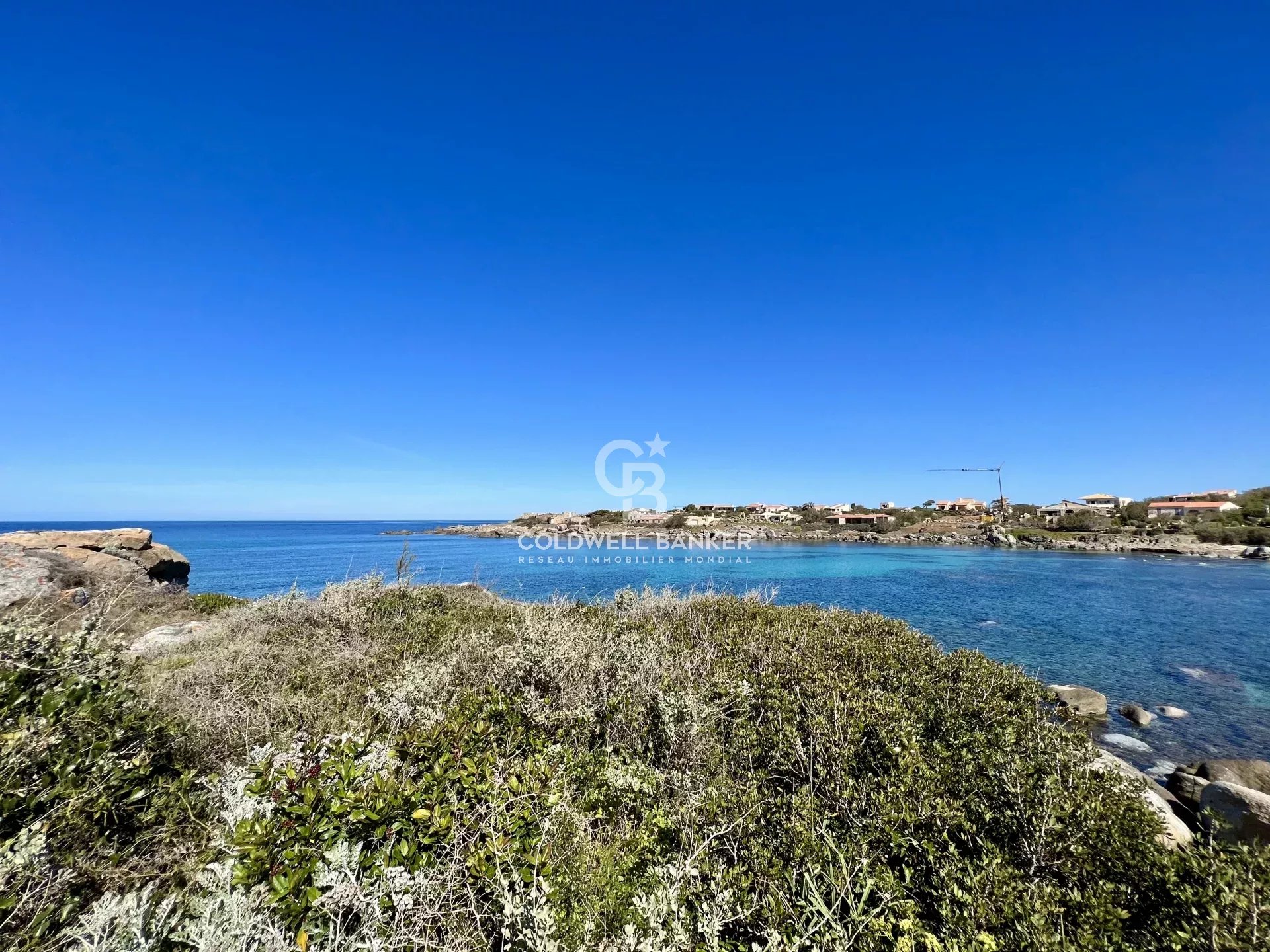 Agence immobilière de Coldwell Banker Allegrini Realty