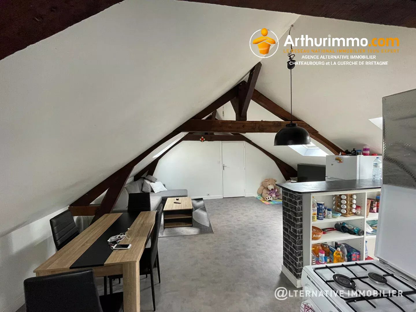 Agence immobilière de EURL ALTERNATIVE IMMOBILIER