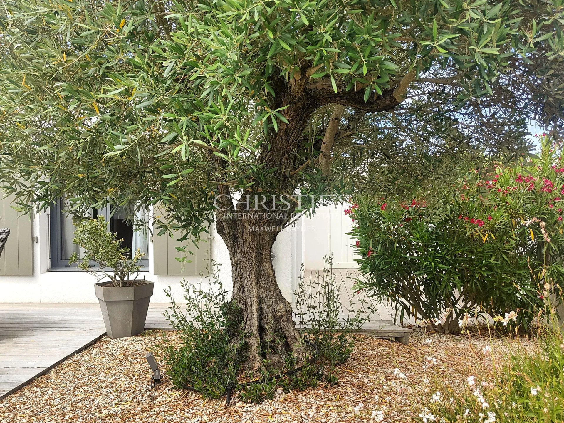 4 Bedroom Villa/Townhouse's Image 6