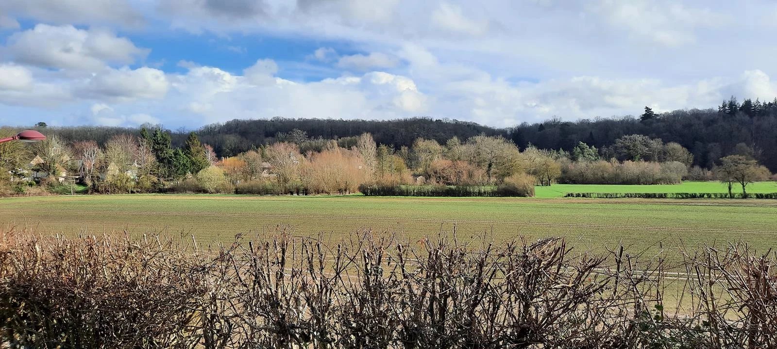 Agence immobilière de AGENCE DE LA BARRE EN OUCHE