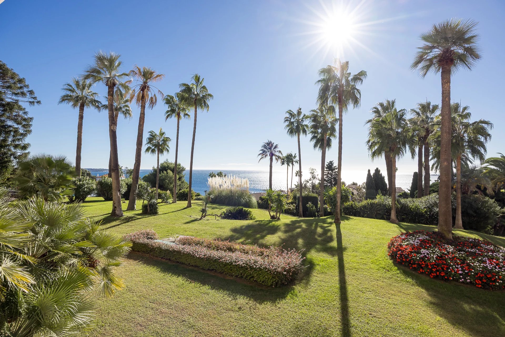 Sale Apartment Cannes Californie